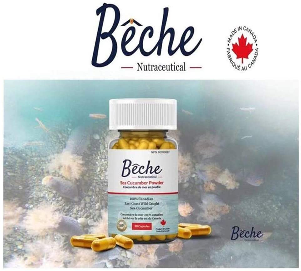 Bêche 30 capsules de poudre de concombre de mer 100 % 海参粉