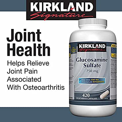 Kirkland 柯克兰 维骨力软骨素 750mg*420粒
