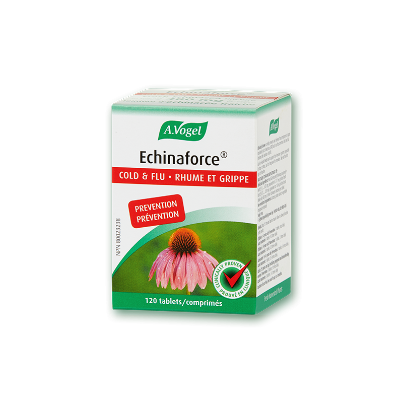 A.Vogel Echinaforce -120 紫锥菊咀嚼片