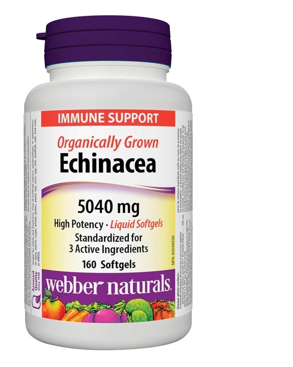 Webber Naturals 伟博有机松果菊 紫锥菊 紫锥花 5040mg -160粒